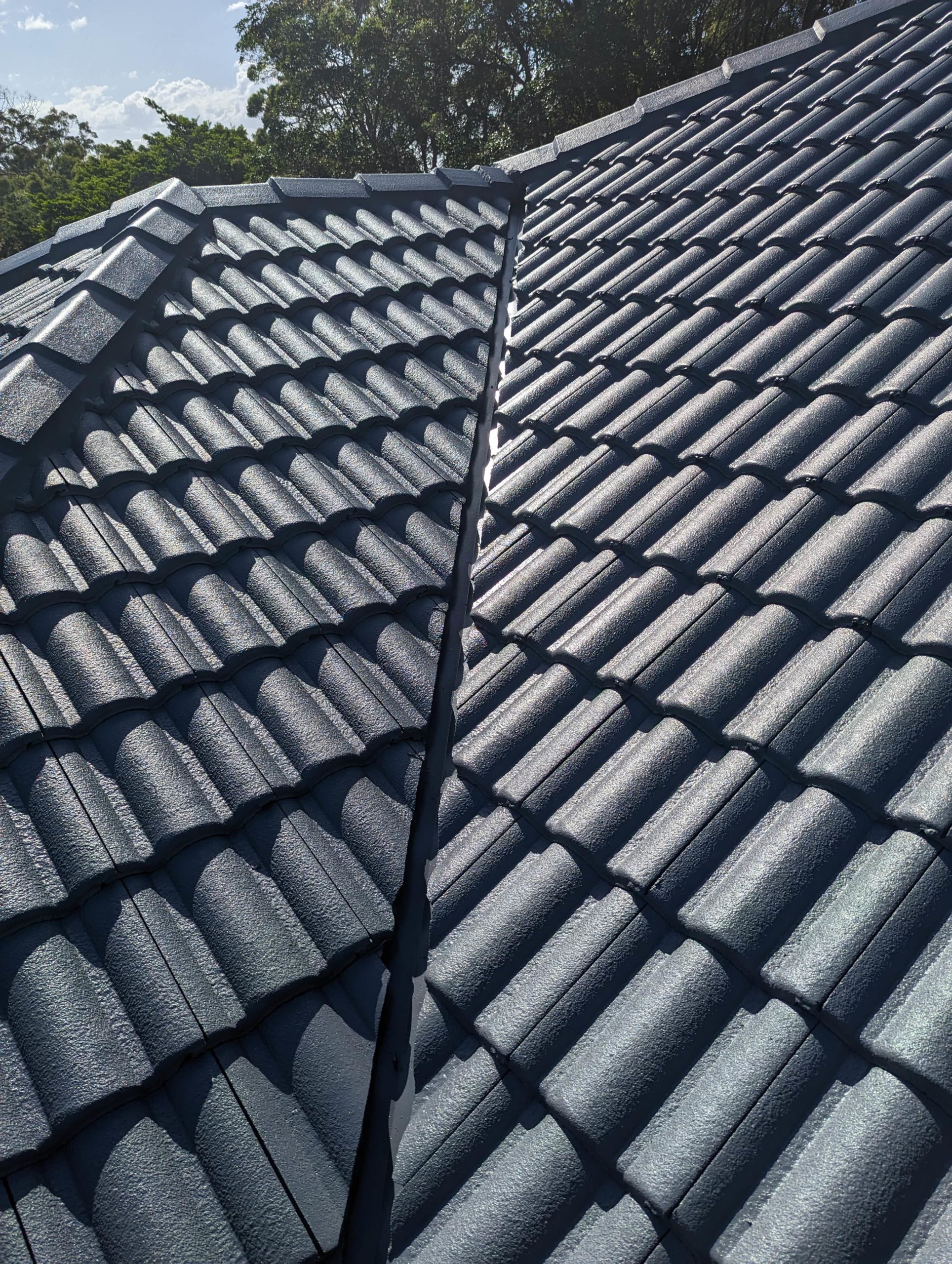 PXL_20230324_045049128-min